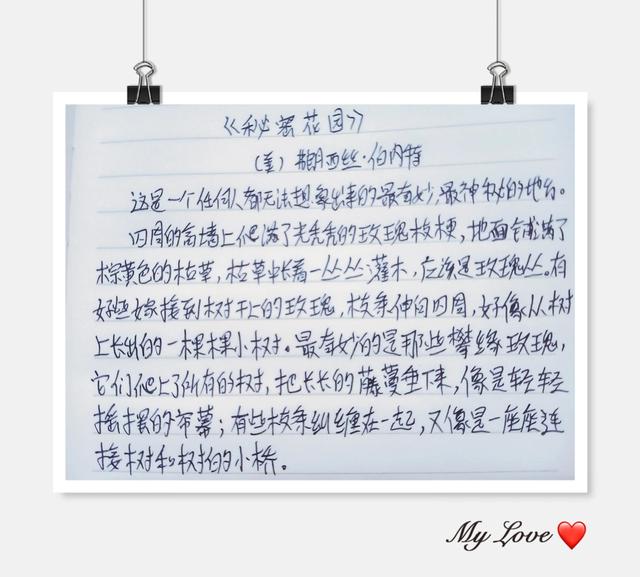 秘密花园好词好句好段摘抄阅读感想，秘密花园好词好句好段摘抄大全