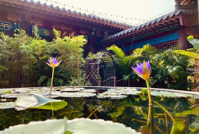 关于旅行的作文英语,写一篇关于旅行的作文英语