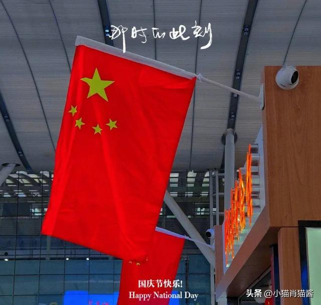 小猫的作文二年级，小猫的作文二年级200字