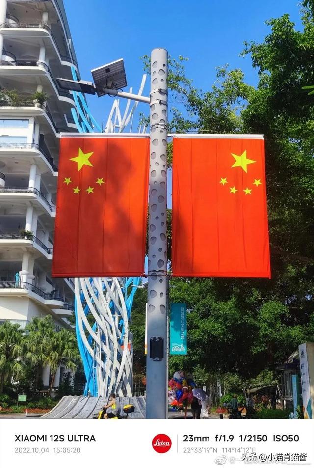 小猫的作文二年级，小猫的作文二年级200字