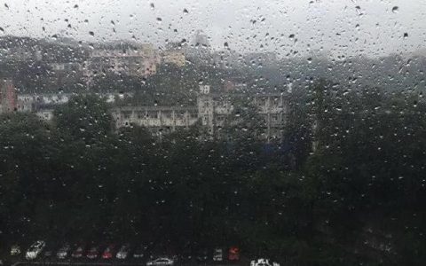 儿子祭奠母亲的祭文，女儿祭奠母亲的祭文