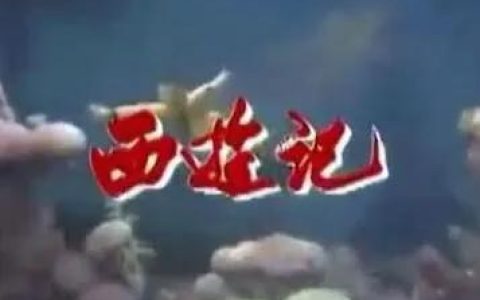 西游记心得体会500字左右初中，西游记心得体会500字左右感受疑问