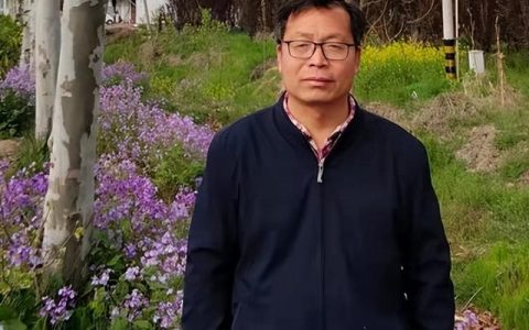 伟的成语大全四个字，伟的成语大全四个字开头
