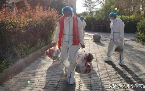 共抗疫情—我和妈妈的对话