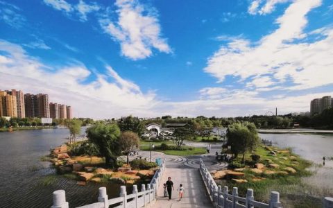 我发现了什么的秘密作文300字，我发现了什么的秘密作文400字！