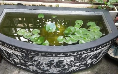 下大雨的日记300字，有关下雨的日记300字