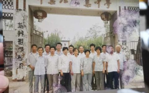 小鸟出笼图片，小鸟出笼图片意境