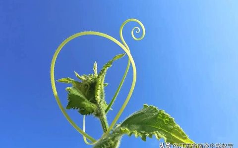 高中英语教学反思20篇简短，初三英语教学反思20篇简短