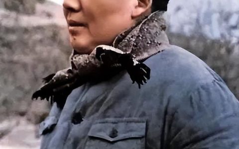 关于对联的故事有哪些，关于对联的故事有哪些名字！