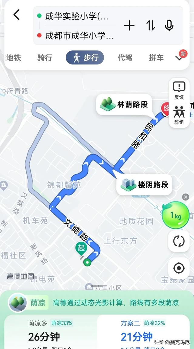 锦江区小学排名一览表，成都锦江区小学排名一览表！