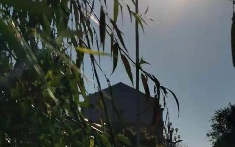 清晨阳光图片，清晨阳光图片唯美图片！