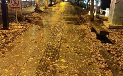 精彩极了和糟糕透了教学设计一等奖，精彩极了和糟糕透了教学设计一等奖视频！