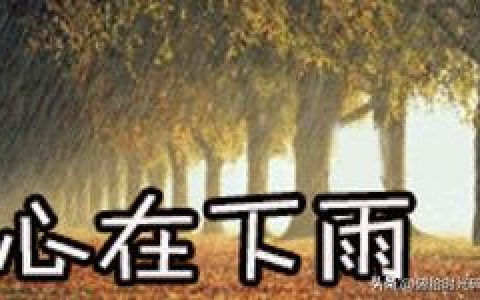 雨的日记300字左右，雨的日记300字三年级！
