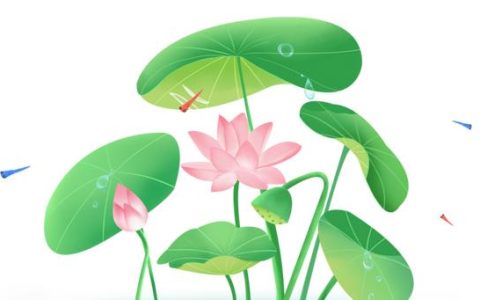 家风作文800字，家风作文800字议论文！