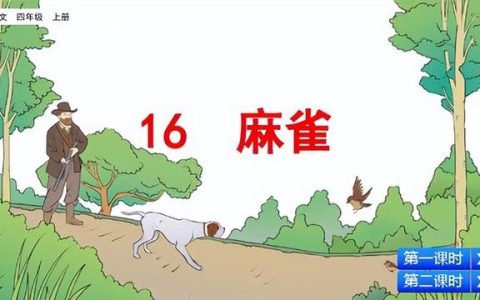 语文教学随笔30篇，语文教学随笔30篇短篇！