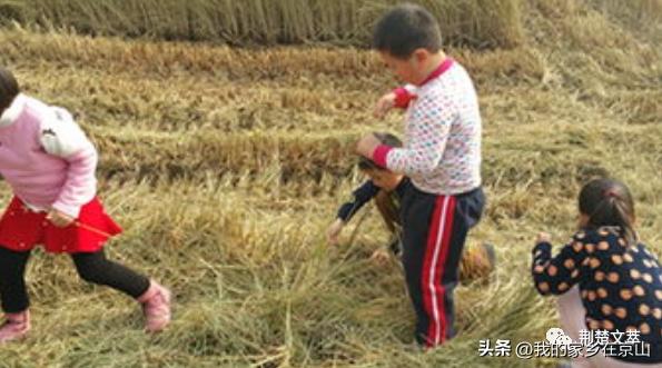 节约粮食的名言警句_摘抄，节约粮食的名言警句_摘抄节约用水的名字！