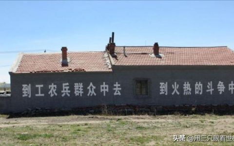「知青往事」办病退