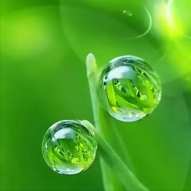 亲情文章名家名篇600字，亲情文章名家名篇叙事！