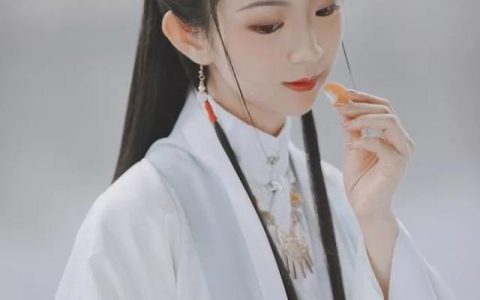 白居易生平经历简介300字，白居易生平经历简介100字！