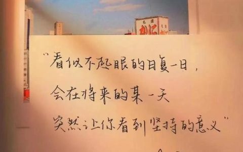 养成计划是什么意思呀，什么叫养成计划！