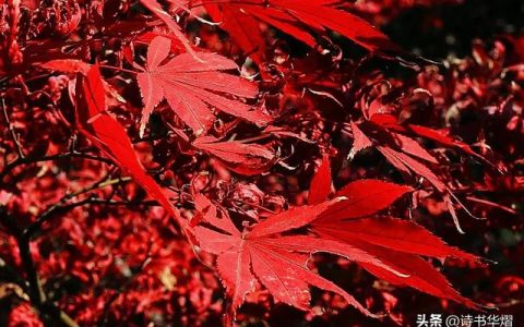 心灵的深处写一段话，心灵的深处写一段话50字左右