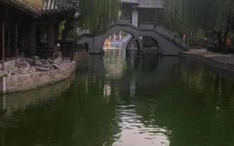 友情最珍贵作文450字左右怎么写，友情最珍贵作文450字左右结尾