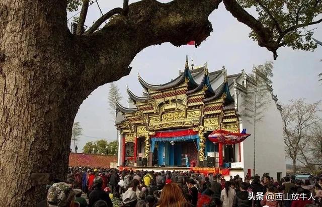 阳春二月有正气是什么意思,阳春十二有正气是什么生肖