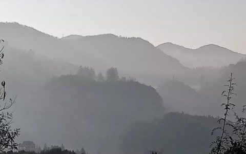 阳春二月有正气的生肖，阳春二月是什么生肖