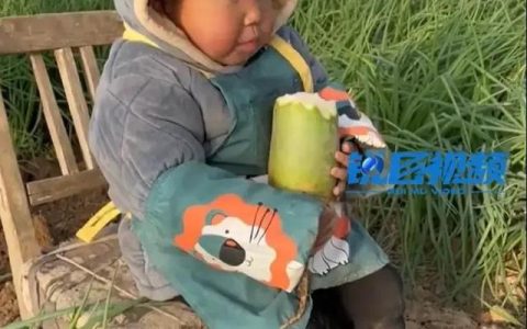 总会想起那张照片作文600字小学毕业，总会想起那张照片作文600字小学毕业开头