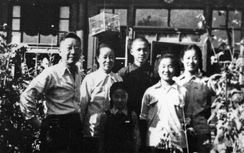骆驼祥子影评600字，骆驼祥子影评600字左右