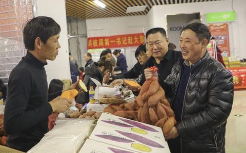 农村基层干部换届，村书记的选举，希望年轻人竞选