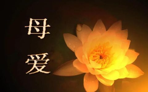 母亲的记忆蕴含的深意，母亲的记忆阅读答案