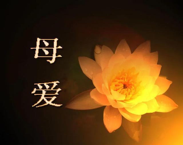 母亲的记忆蕴含的深意，母亲的记忆阅读答案