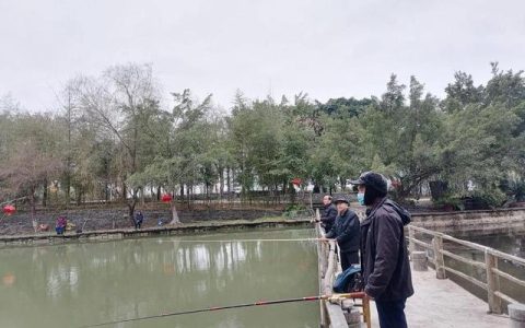 兴趣组词，趣组词