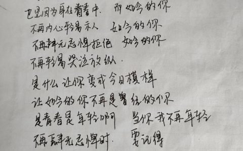 我们逝去的青春啊歌词是哪首歌曲里的词，我们逝去的青春啊歌曲是什么歌