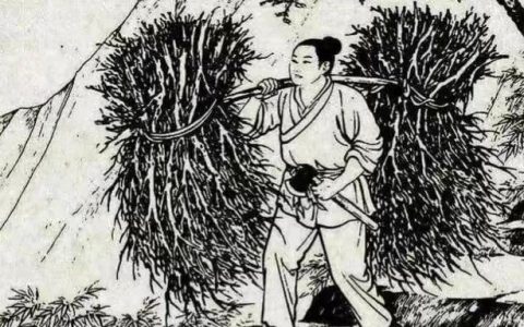小松鼠的故事，《丑小鸭》的故事