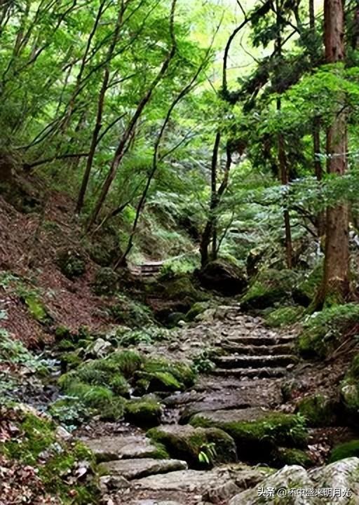 盘点远古真正的8大顶级神兽，四大瑞兽_四大凶兽_四大神兽