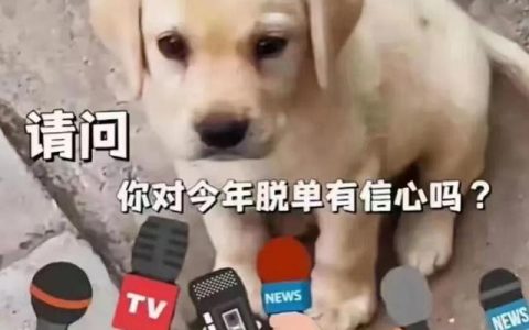 小光棍节是几月几号啊，大光棍节是几月几号啊