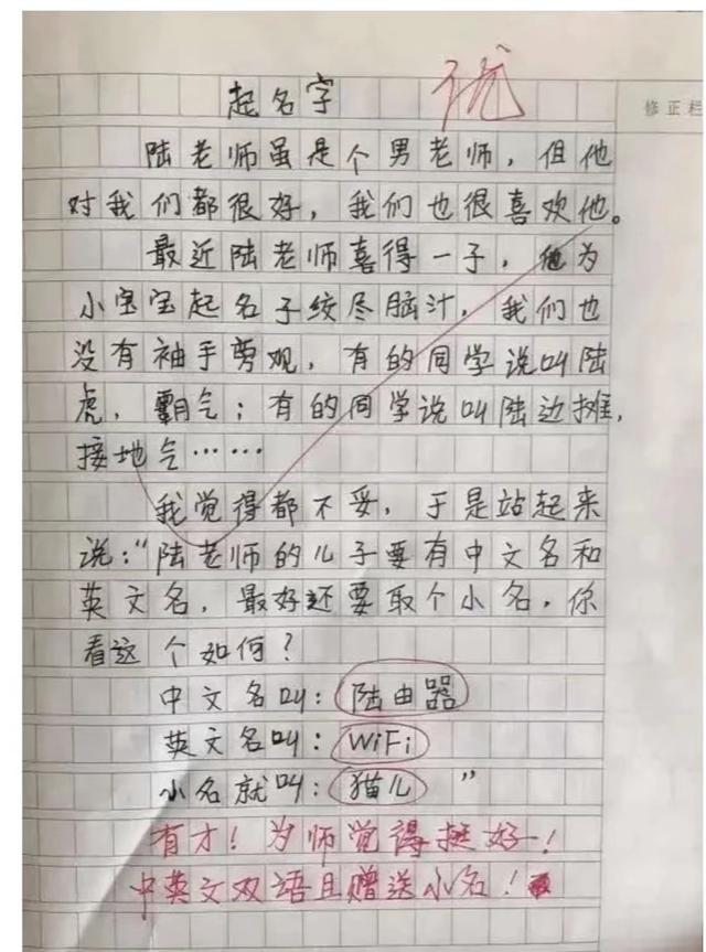 熊出没观后感600字初二，2023年熊出没观后感600字