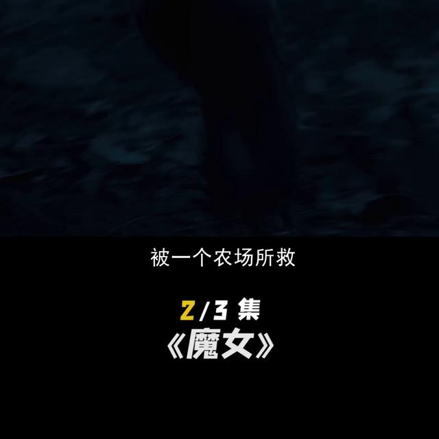 女人如此膘悍的说说，女人如此膘悍的说说句子