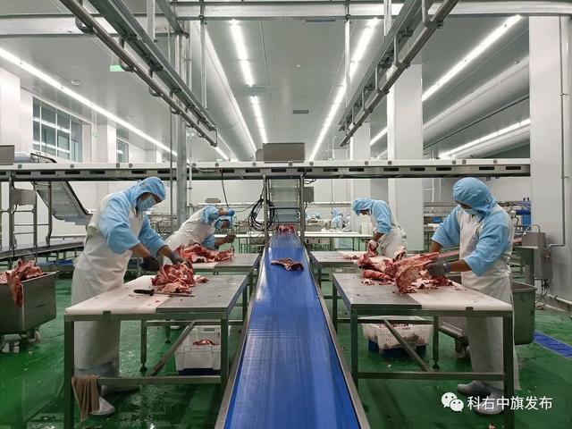 养牛业，牛肉加工？