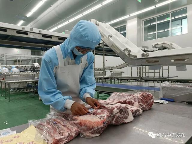 养牛业，牛肉加工？