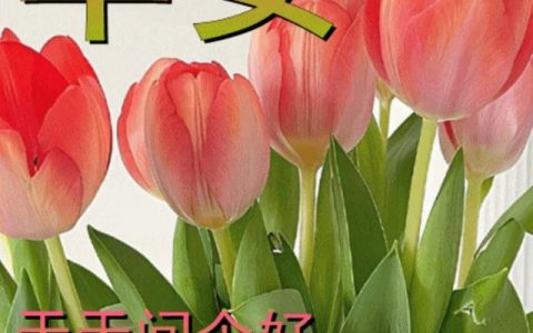 我要祝福你，祝福语大全？