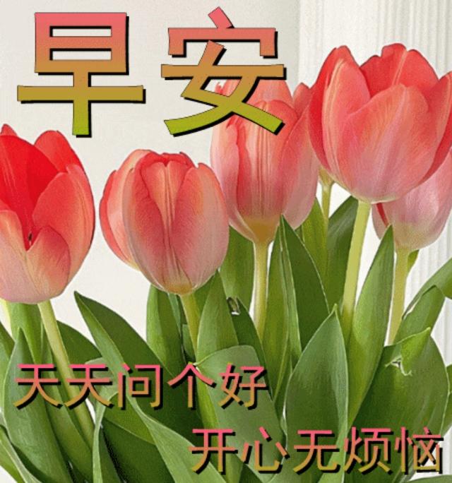 我要祝福你，祝福语大全？