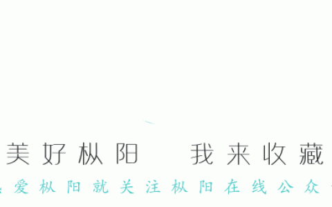 乡村振兴调研报告，乡村振兴战略研究？ (2)