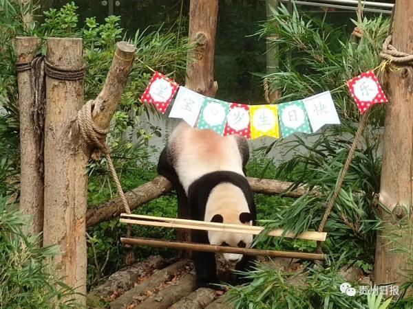 生日条幅，生日装饰？
