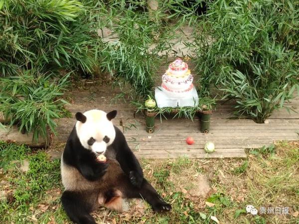 生日条幅，生日装饰？