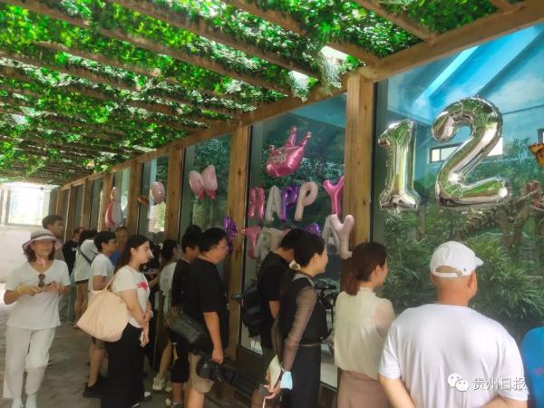 生日条幅，生日装饰？