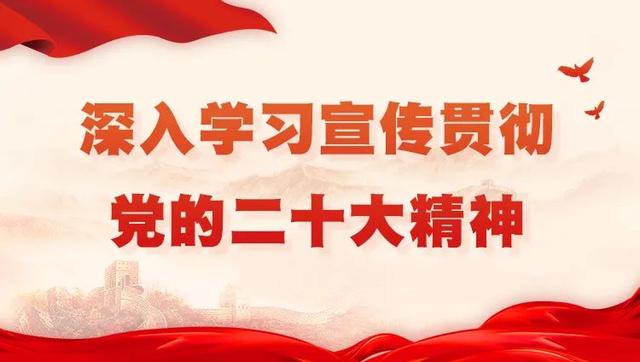 职工培训，职业技能培训？